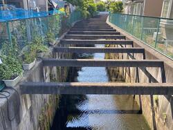 天王台幹線の写真