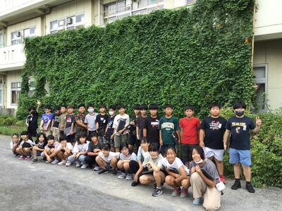 湖北小学校の緑のカーテン