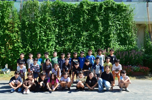 湖北小学校の緑のカーテン