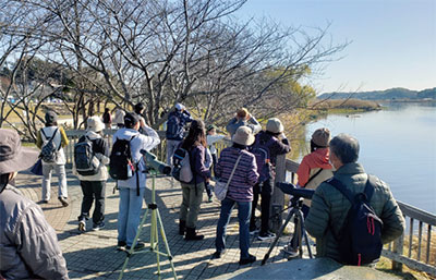 野鳥観察の様子