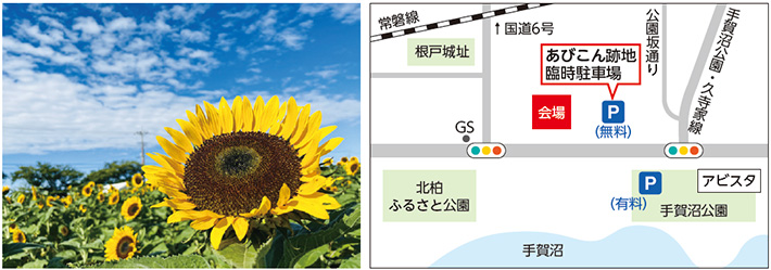 ひまわりの写真とイベントの位置図