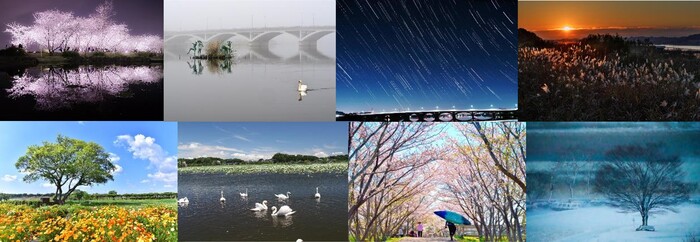 手賀沼写真コンクール歴代最優秀賞作品