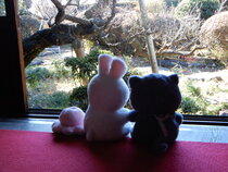 ぬいぐるみの写真