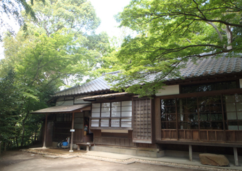 新緑の旧村川別荘