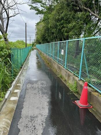 手賀沼遊歩道（我孫子高校裏）の冠水の様子
