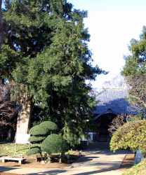 東源寺の写真