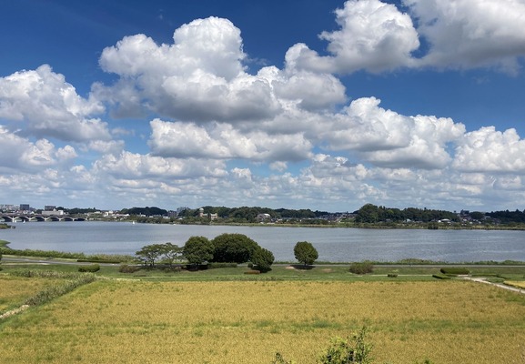 9月の写真拡大版