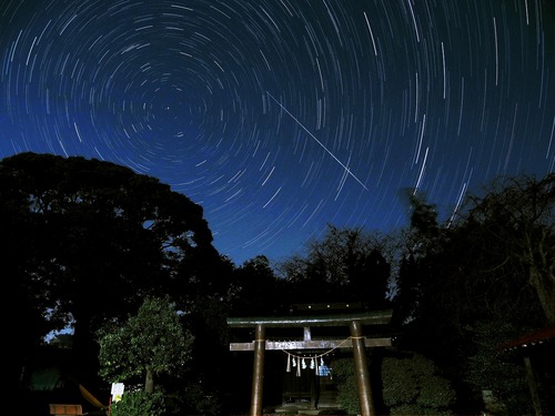 11月の写真拡大版