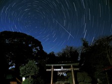 11月の写真