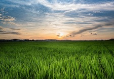 6月の写真
