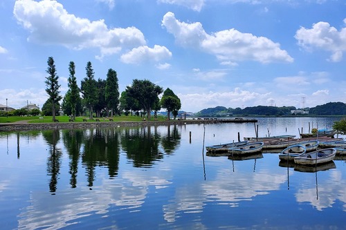 7月の写真拡大版