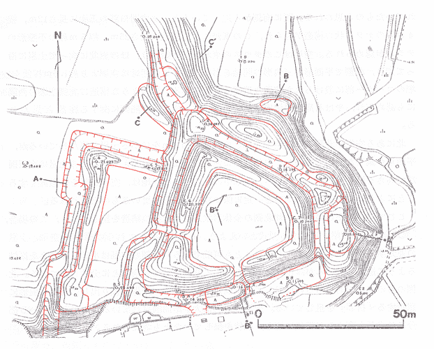 根戸城の平面図