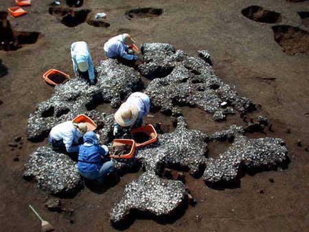 貝層発掘