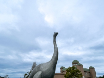 鳥の博物館の写真