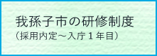 我孫子市の研修制度のメニュー画像