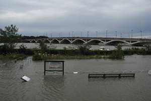 手賀沼親水広場1