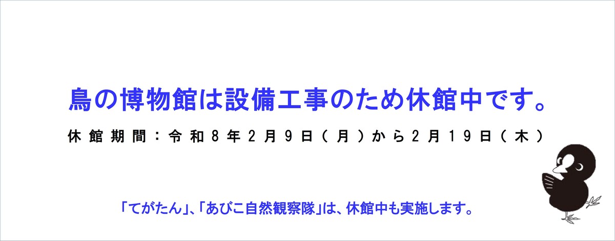 鳥の博物館　休館のお知らせ