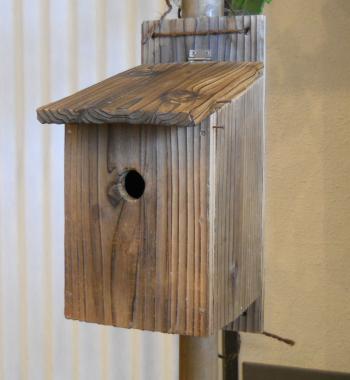 巣箱の写真