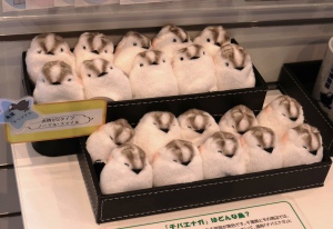 ぬいぐるみ
