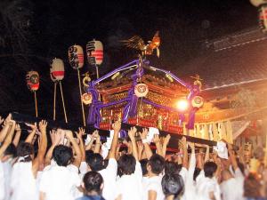 竹内神社の祭礼での神輿の写真です