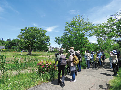 探鳥会の様子