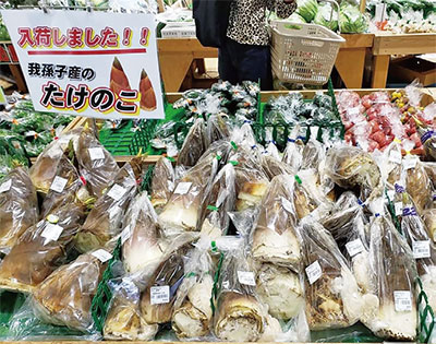 我孫子市産たけのこ販売の様子