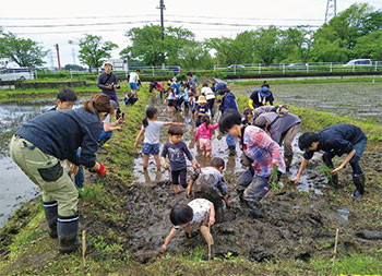 田植えの様子の写真
