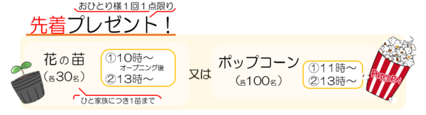 先着者プレゼント　花の苗30人、ポップコーン100人
