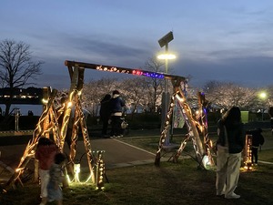 桜まつり2025の竹灯籠・竹宵ライトアップ