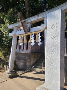 柴崎神社の鳥居