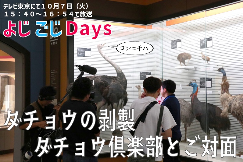 番組告知