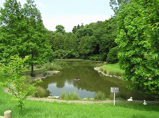 風景