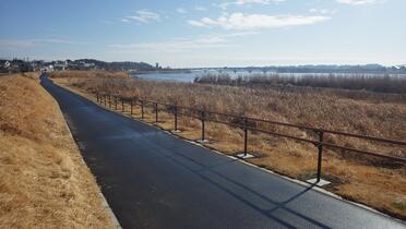 湖岸堤遊歩道の写真