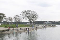 手賀沼公園風景写真