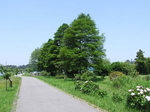 親水広場東の風景