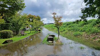 手賀沼遊歩道冠水の様子