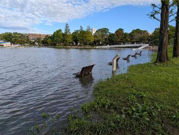 手賀沼公園の冠水の様子
