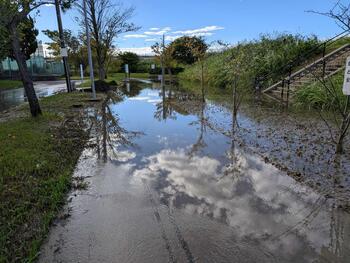 手賀沼遊歩道冠水の様子