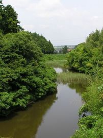 布佐市民の森写真