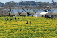 3月の写真