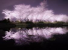 4月の写真