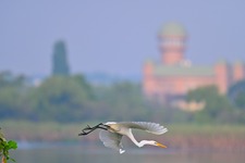 9月の写真