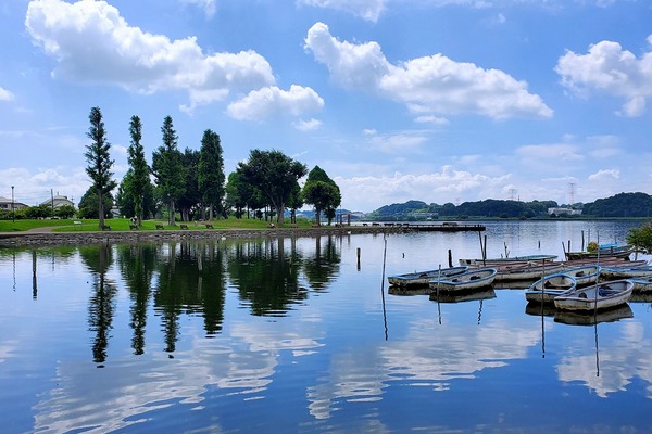 「水鏡に沈む夏雲」　拡大版