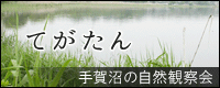 てがたん（手賀沼定例探鳥会）