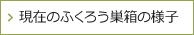 現在のふくろう巣箱の様子