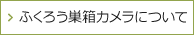 ふくろう巣箱カメラについて