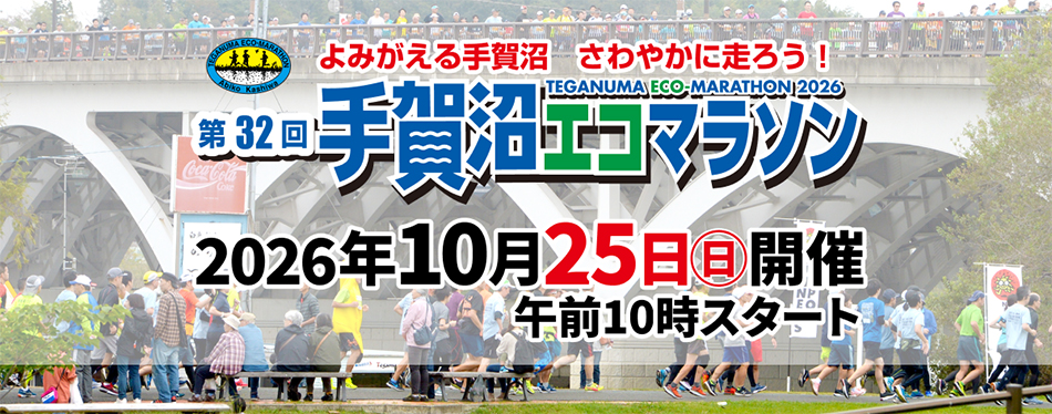 手賀沼エコマラソンのバナー画像