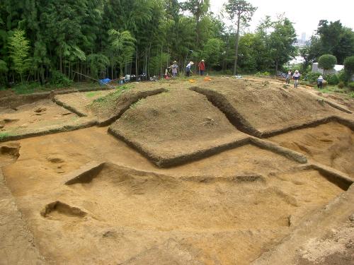 根戸船戸遺跡1号墳　墳丘全体の様子（右奥手賀沼）