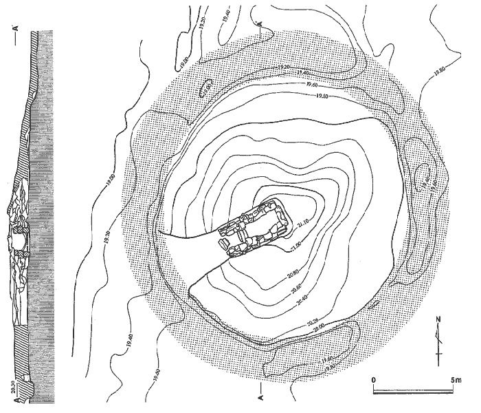 子の神古墳1号墳図