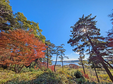 景観を育てる会の活動の様子